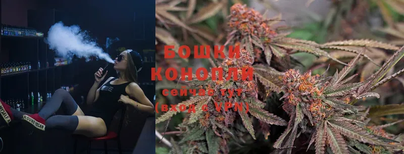 дарнет шоп  Дятьково  Бошки марихуана SATIVA & INDICA 